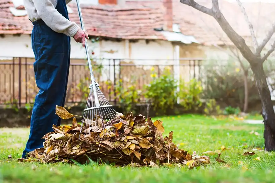 How To Clean A Backyard in Yakima, WA