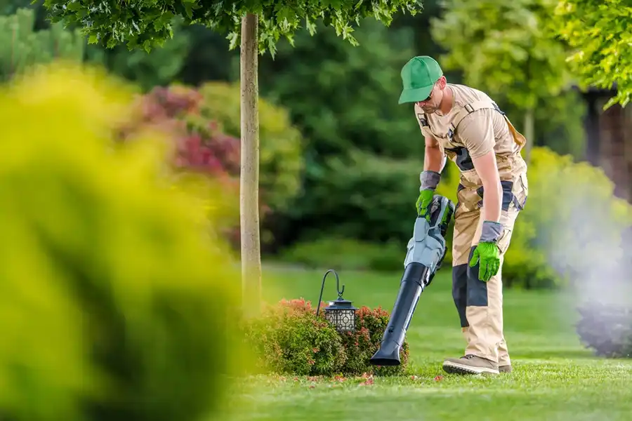 How To Clean A Backyard Yakima, WA