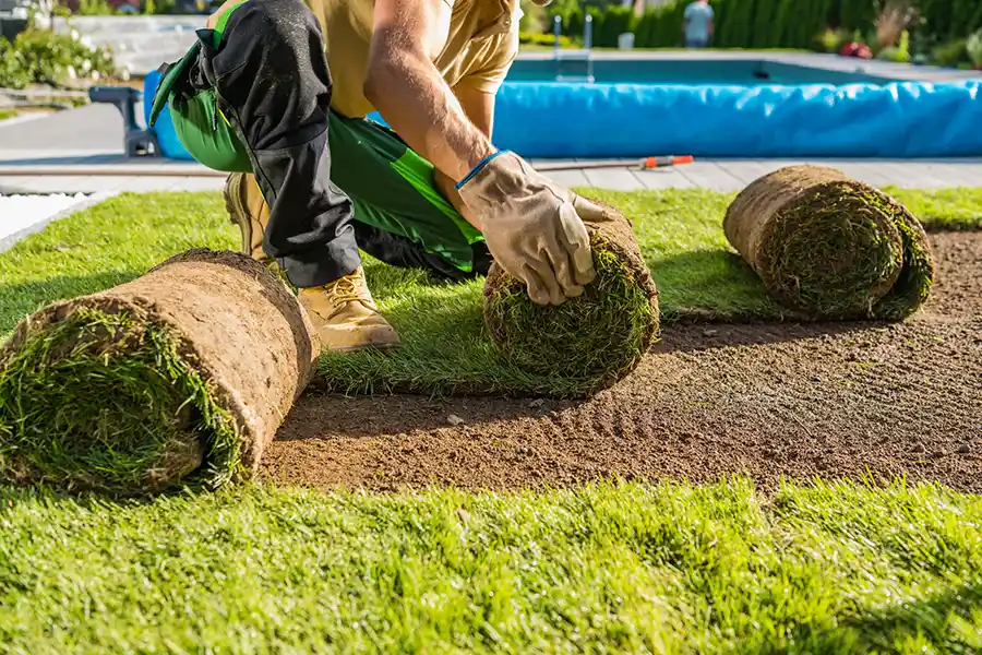 How long after installing sod can you walk on it in Yakima, WA