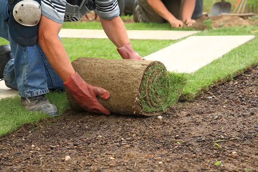 How long after installing sod can you walk on it Yakima, WA