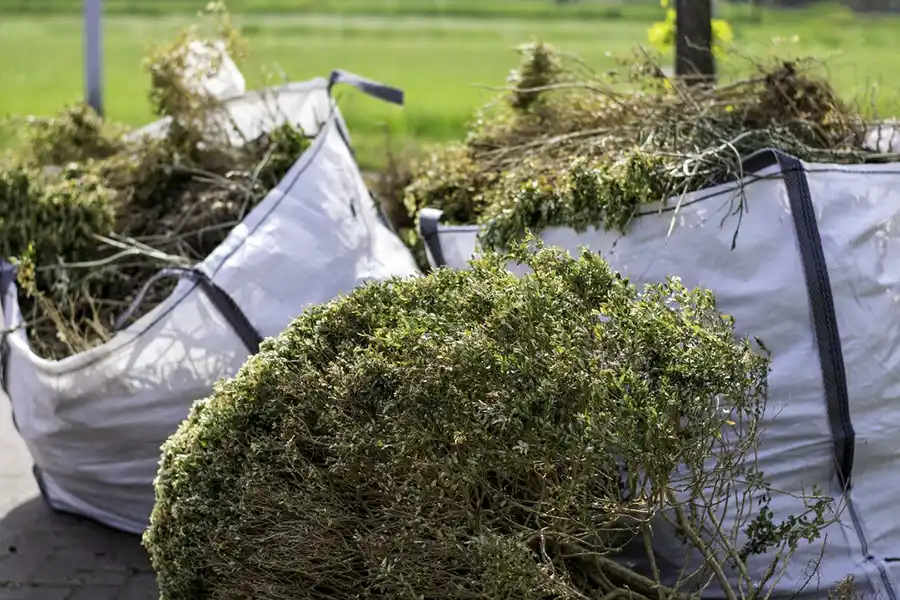 How to clear a yard full of weeds in Yakima, WA