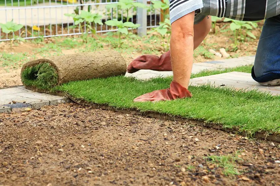 How to lay sod over existing lawn in Yakima, WA