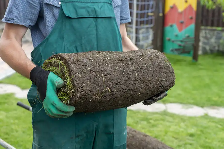 How to lay sod over existing lawn Yakima, WA