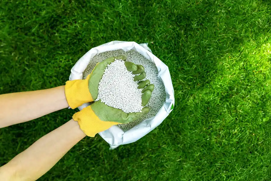 When is the best time to fertilize your lawn Yakima, WA