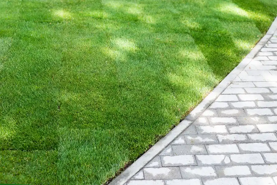 Lawn Edging