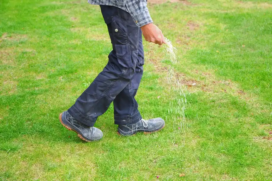 Efficient Lawn Fertilization in Yakima, WA