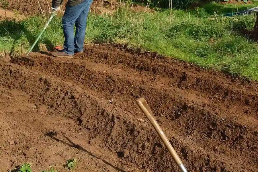 Best Mulching in Yakima, WA