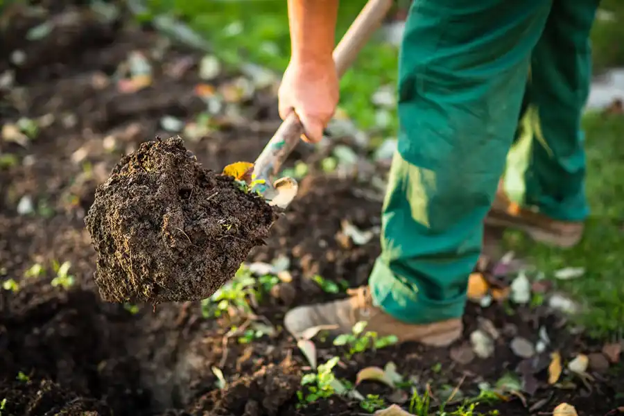 Reliable Mulching in Yakima, WA