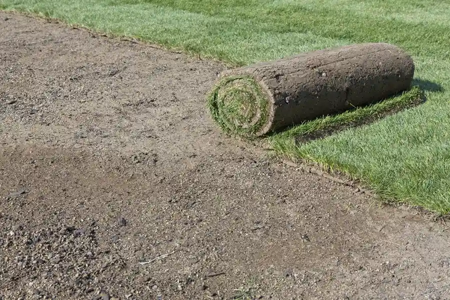 Efficient Sod Installation in Yakima, WA