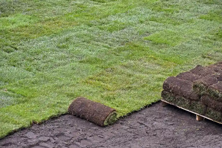 Best Sod Installation in Yakima, WA