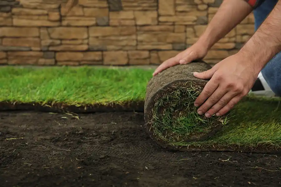 Reliable Sod Installation in Yakima, WA