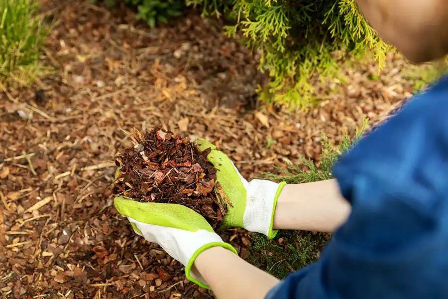 What does mulch do in Yakima, WA