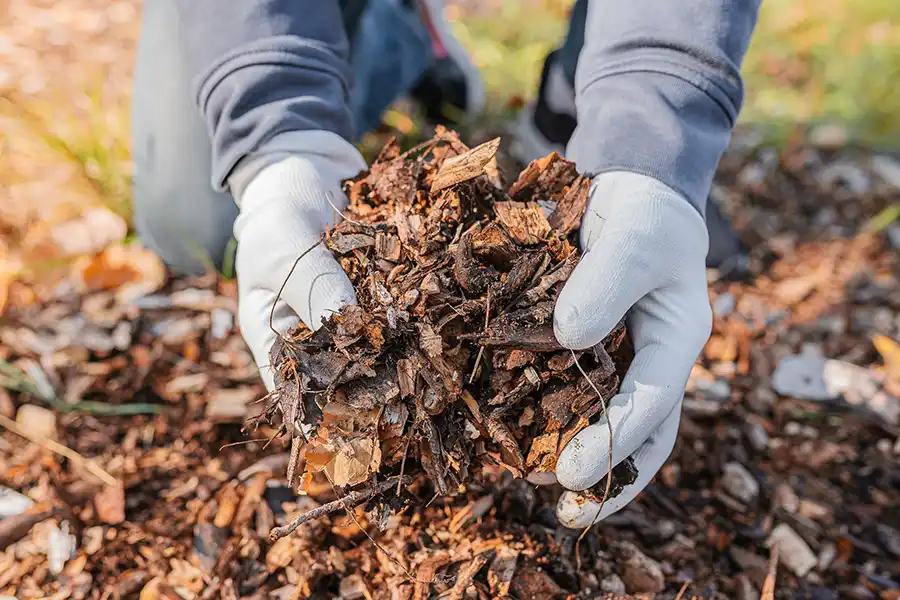 What does mulch do Yakima, WA