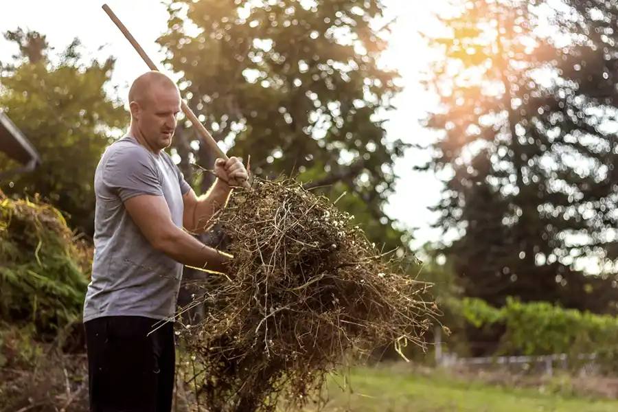 Efficient Yard cleanup in Yakima, WA